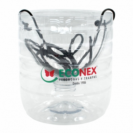 ECONEX DISPOSABLE CERAMBYX TRAP