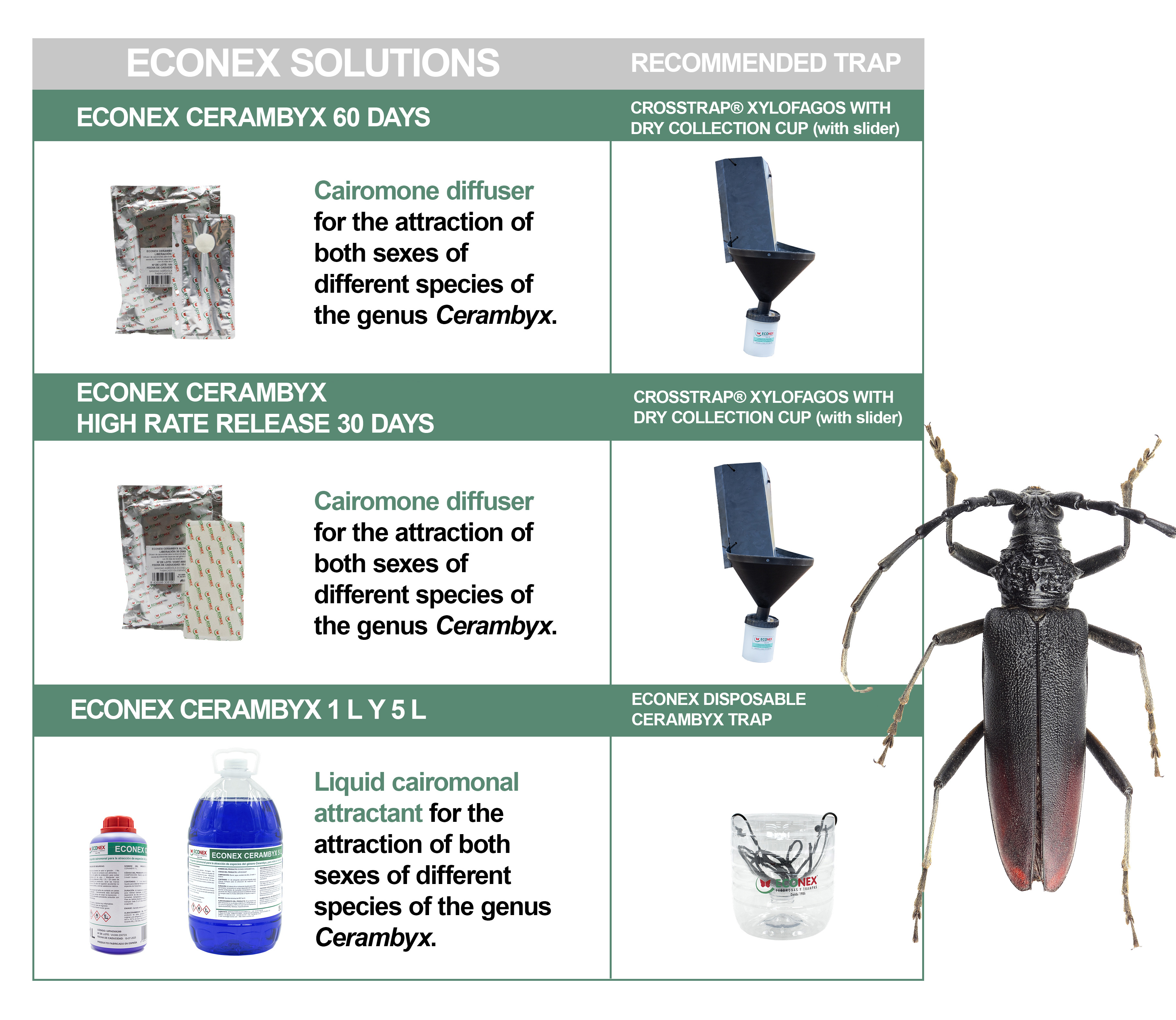 Cerambyx biocontrol scheme